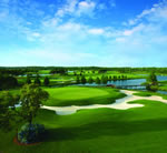 Shingle Creek Golf Club