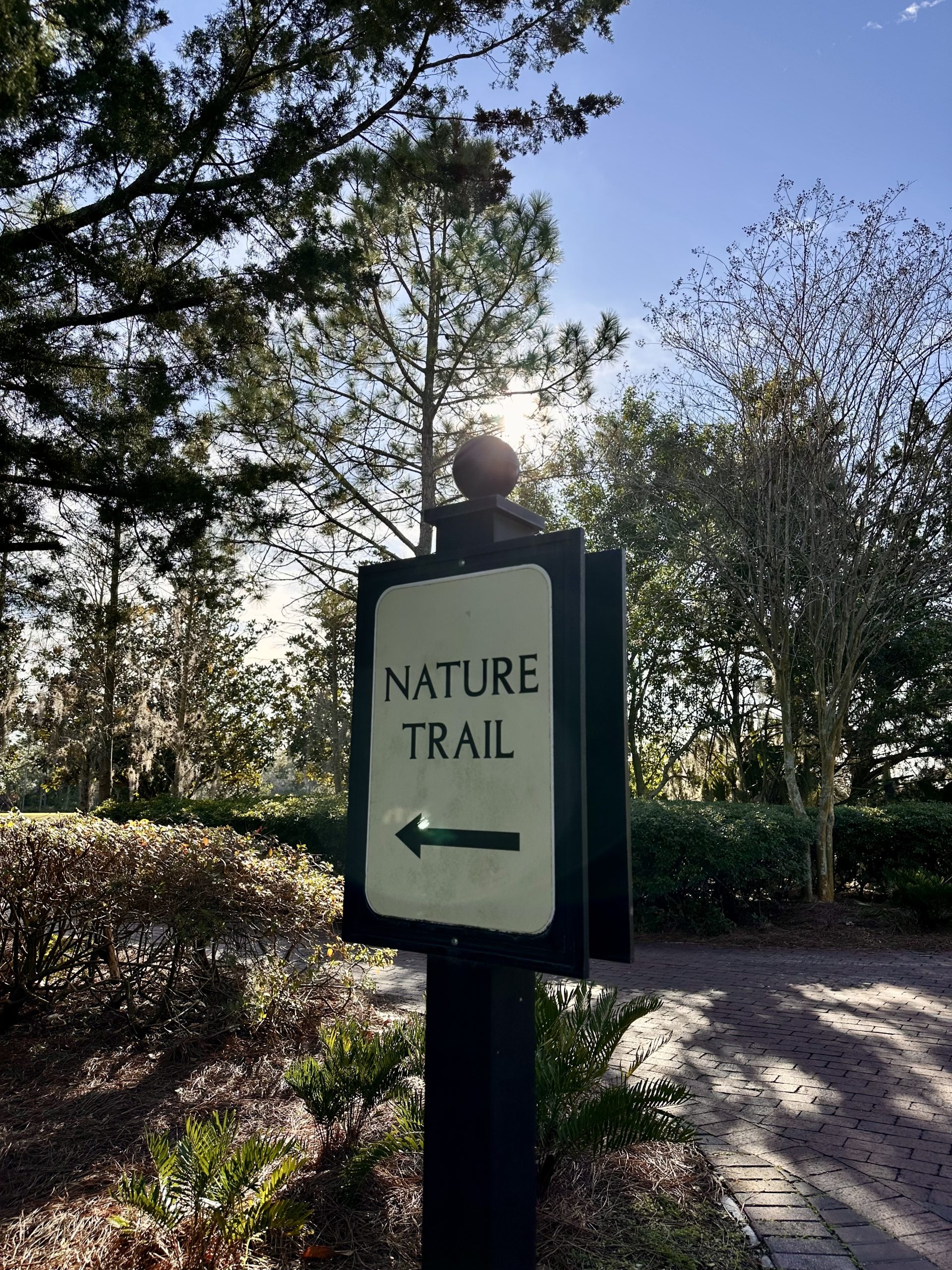 A sign with the words NATURE TRAIL and an arrow pointing left, with trees and a brick path in the background at Rosen Shingle Creek in Orlando.