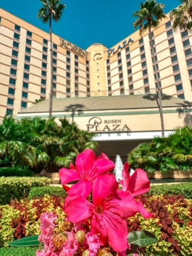 The front of Rosen Plaza Hotel with bright pink flowers and landscaping in the foreground.