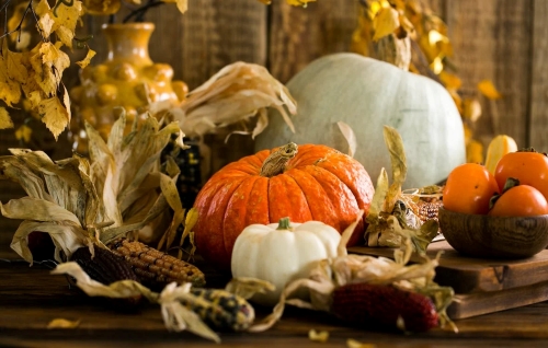 A rustic and autumnal image of pumpkins, maize, and a bowl of persimmons. 